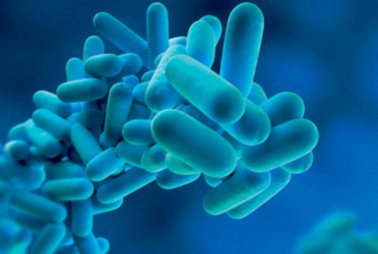 M8 EFF ENER HYDRAU 14h J2 V1